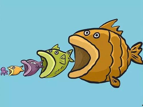 娱乐吃瓜酱可爱小鱼,可爱小鱼带你畅游娱乐圈